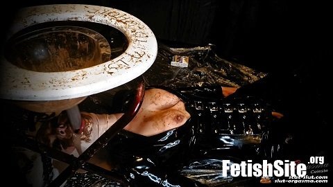 SlutOrgasma - Extreme shit and puke swallowing toilet slave [FullHD, 1080p] [ScatShop.com]